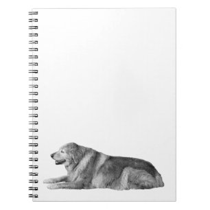 Furry Quiet, Open Mind Notebook
