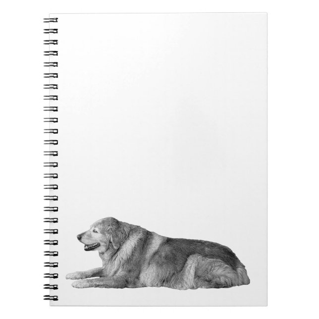 Furry Quiet, Open Mind Notebook (Front)