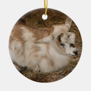 Furry small goat doeling baby right ceramic ornament