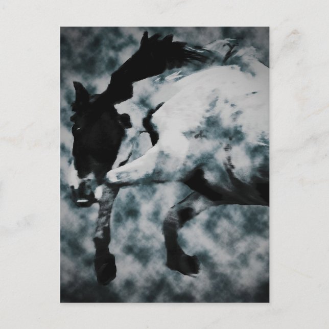 Fury Postcard (Front)