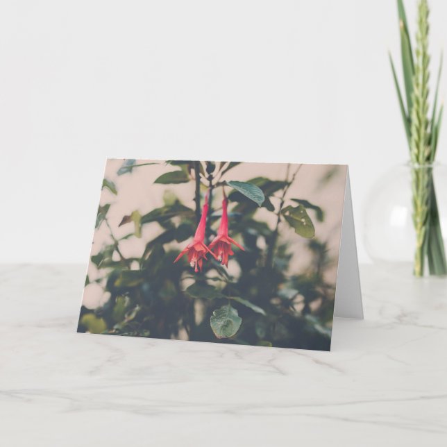 Fuschia Card (Front)