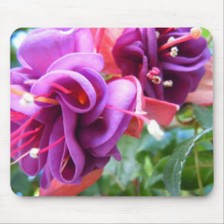 Fuschia Dio Mouse Pad