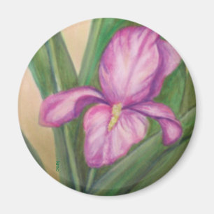 Fuschia iris magnet