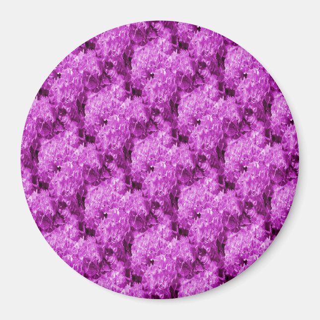 Fuschia Love.... Magnet (Front)