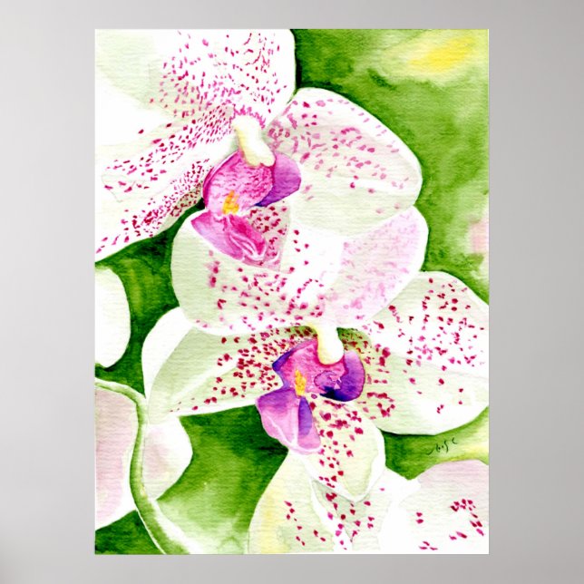 Fuschia Orchid Print (Front)
