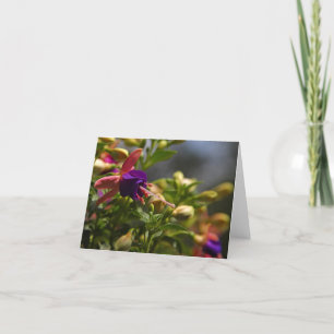 fuschias flower note card