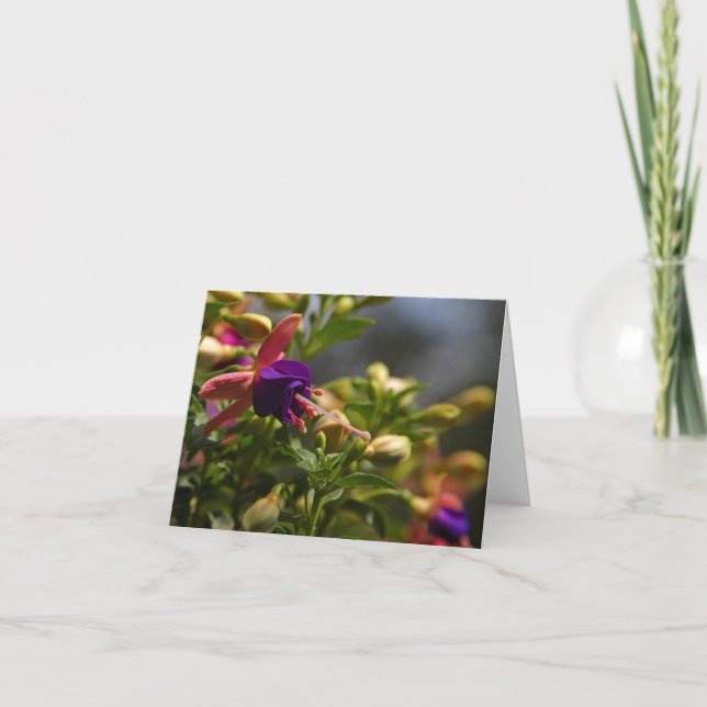 fuschias flower note card (Front)