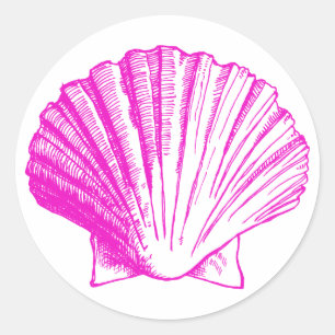 Fuscia Sea Shell Sticker
