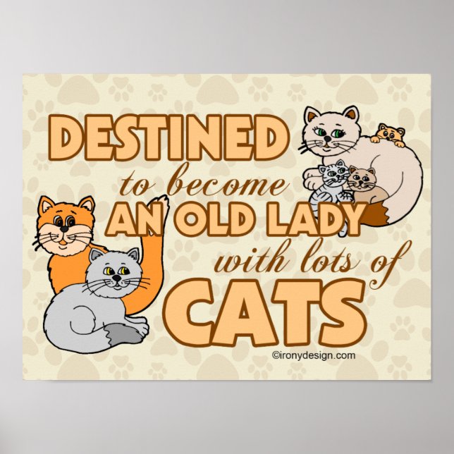 Future Crazy Cat Lady Funny Saying Design Poster (Front)