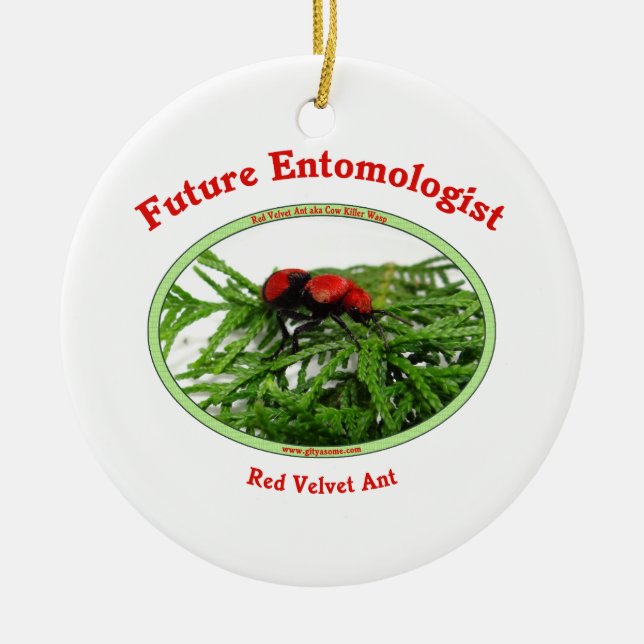 Future Entomologist Loves Bugs Ceramic Ornament (Front)