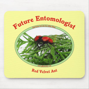 Future Entomologist Loves Bugs Mouse Pad