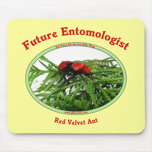 Future Entomologist Loves Bugs Mouse Pad (Front)