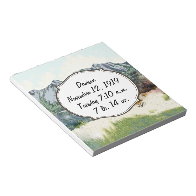 Future Pilot Baby Boy Birth Record Notepad (Angled)