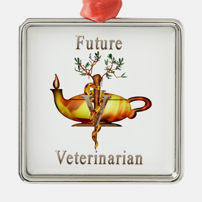 Future Veterinarian Metal Ornament (Front)