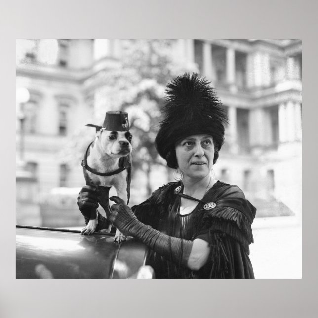 Fuzz and Fez: 1923 Poster (Front)