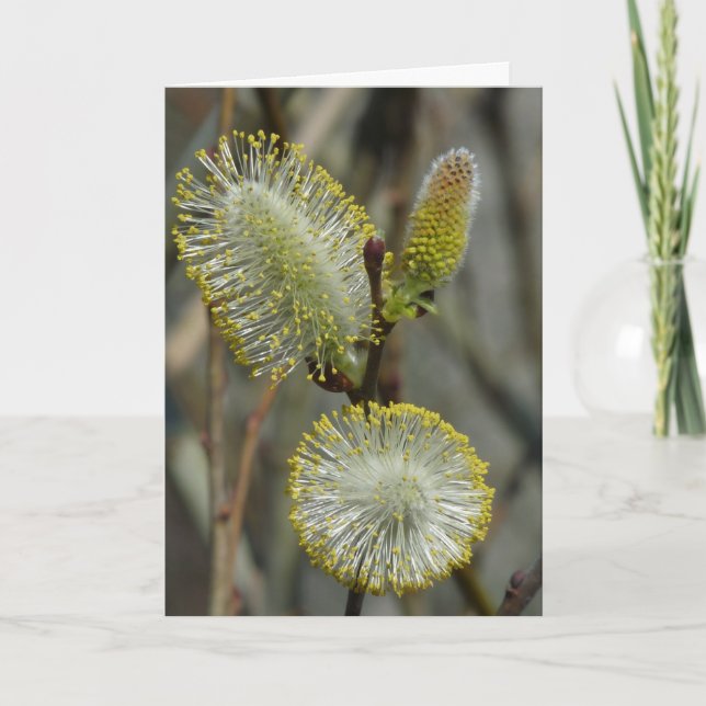 "Fuzzy Blooming Bush" Card (Front)