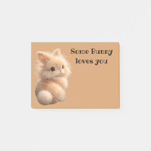 Fuzzy bunny: Some Bunny Loves You Post-it Notes