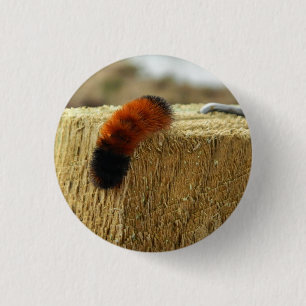 Fuzzy Caterpillar 1 Inch Round Button
