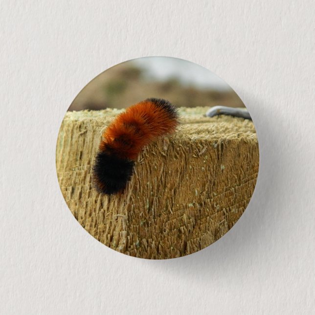 Fuzzy Caterpillar 1 Inch Round Button (Front)
