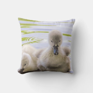 Fuzzy cygnets - pillow