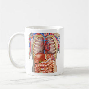 Fuzzy Express® Internal Organs Anatomy Coffee Mug