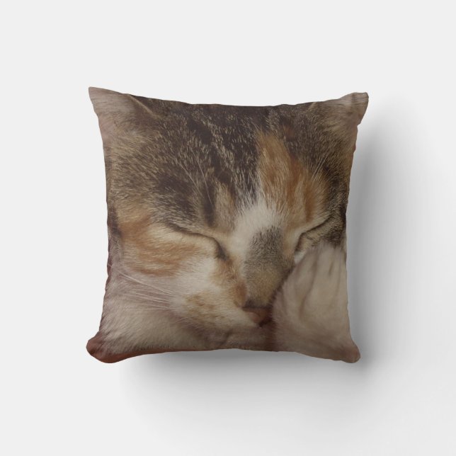 Fuzzy Face Throw Pillow (Front)