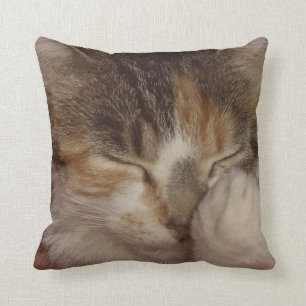 Fuzzy Face Throw Pillow