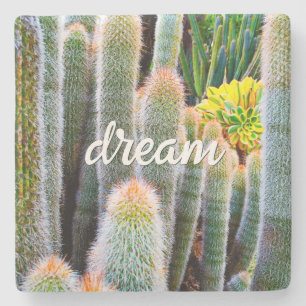 Fuzzy Green Cacti Succulent Photo Dream Script Stone Coaster