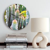 Fuzzy green cacti succulent photo modern bold