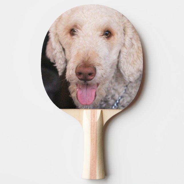 Fuzzy    ping pong paddle (Front)