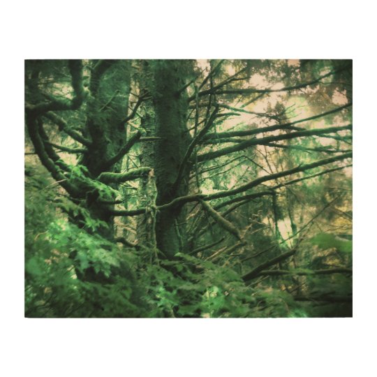 Fuzzy Trees Wood Print