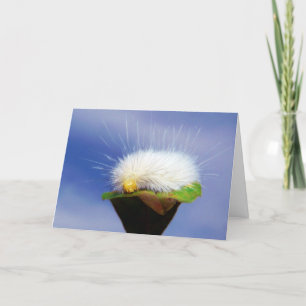Fuzzy White Caterpillar Card