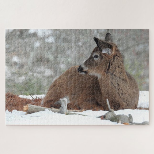 Fuzzy White Tailed Deer Fawn resting in snow Jigsaw Puzzle (Horizontal)