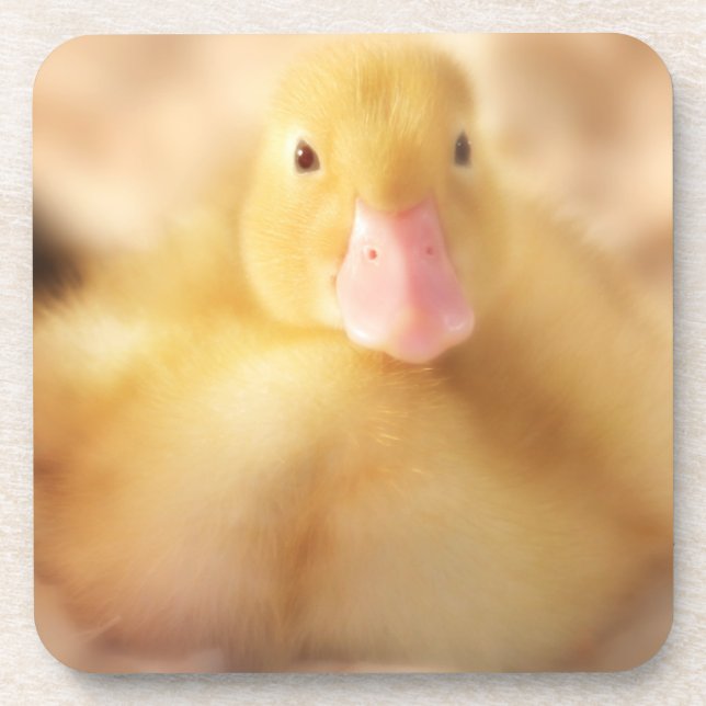 Fuzzy Yellow Duck Easter Baby Duckling Coaster (Front)