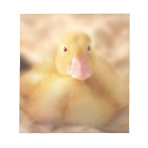 Fuzzy Yellow Duck Easter Baby Duckling Notepad