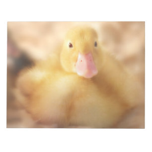 Fuzzy Yellow Duck Easter Baby Duckling Notepad