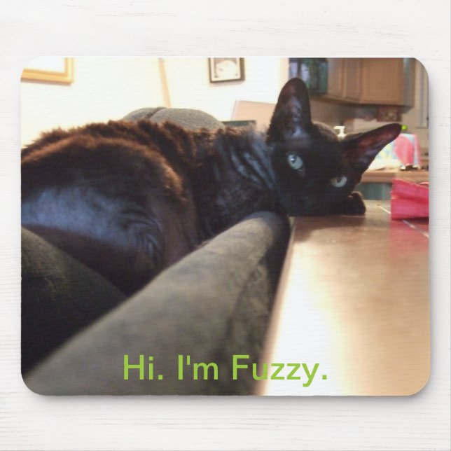 Fuzzy's mousepad (Front)