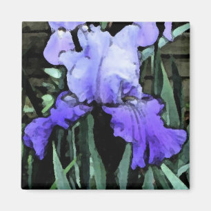 FX- Blue Iris Magnet