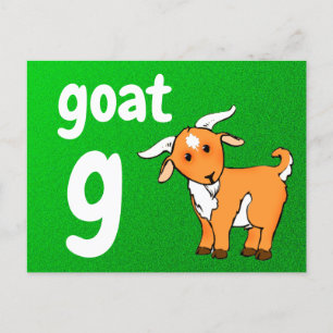 g - goat flash card