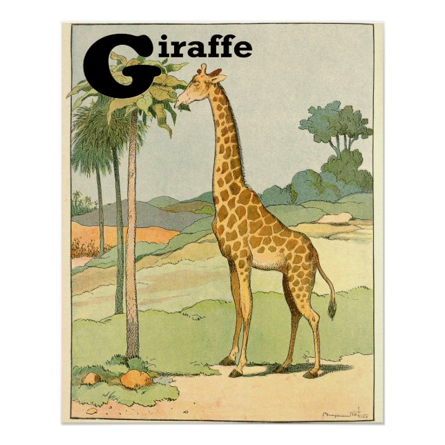 G is for Giraffe Alphabet Animals Perfect Poster (Front)