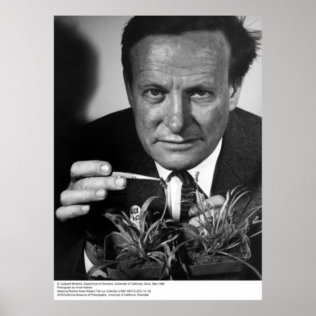 G. Ledyard Stebbins, UC Davis, 1966 Poster (Front)