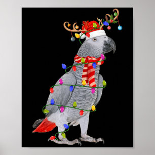 G Parrot Bird Christmas Lights Reindeer Santa Hat Poster