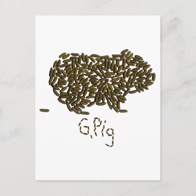 "G. Pig" with Classic Guinea Pig Postcard (Front)