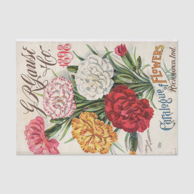 G.R. Gause 1898 Carnations Seed Catalogue       Tissue Paper (Front)