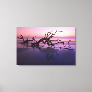 GA Jekyll Island, Tree graveyard on  beach at Canvas Print