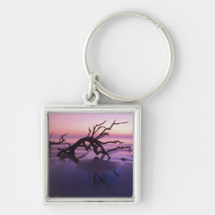 GA Jekyll Island, Tree graveyard on beach at Keychain