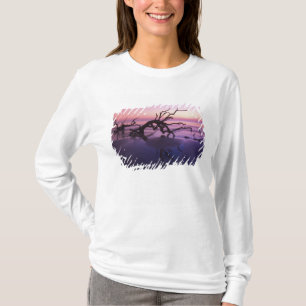 GA Jekyll Island, Tree graveyard on beach at T-Shirt