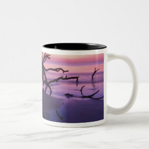GA Jekyll Island, Tree graveyard on  beach at Two-Tone Coffee Mug