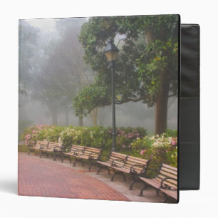 GA Savannah, Azaleas along brick sidewalk and Binder