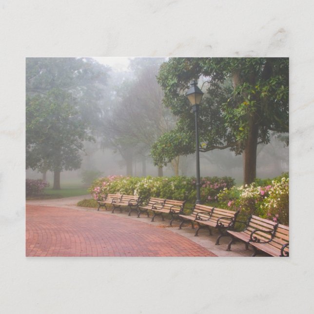 GA Savannah, Azaleas along brick sidewalk and Postcard (Front)